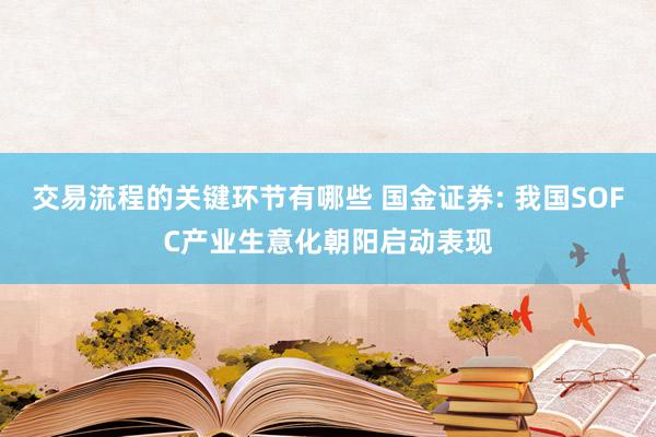 交易流程的关键环节有哪些 国金证券: 我国SOFC产业生意化朝阳启动表现