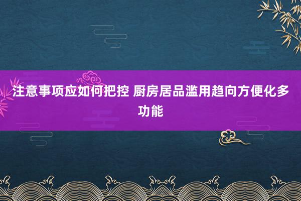 注意事项应如何把控 厨房居品滥用趋向方便化多功能