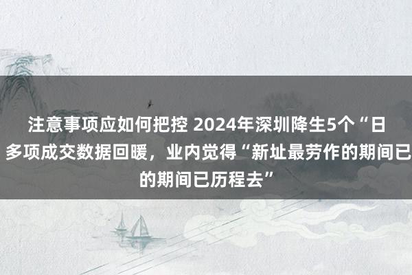 注意事项应如何把控 2024年深圳降生5个“日光盘”，多项成交数据回暖，业内觉得“新址最劳作的期间已历程去”