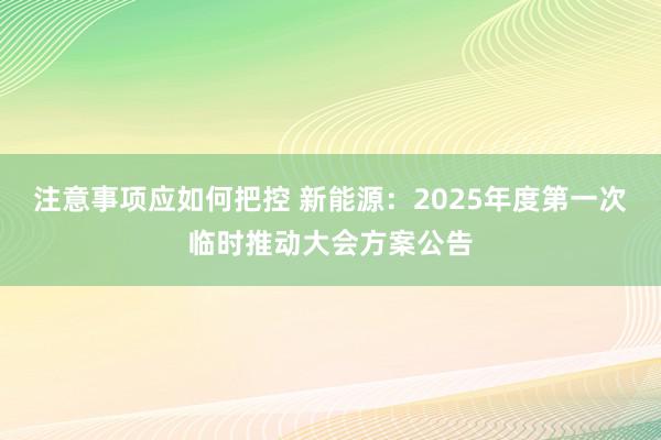 注意事项应如何把控 新能源：2025年度第一次临时推动大会方案公告