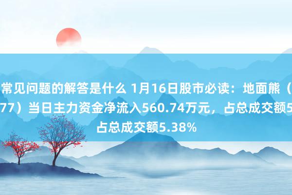 常见问题的解答是什么 1月16日股市必读：地面熊（688077）当日主力资金净流入560.74万元，占总成交额5.38%