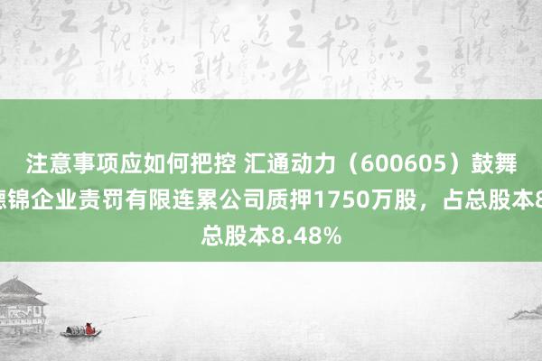 注意事项应如何把控 汇通动力（600605）鼓舞西藏德锦企业责罚有限连累公司质押1750万股，占总股本8.48%