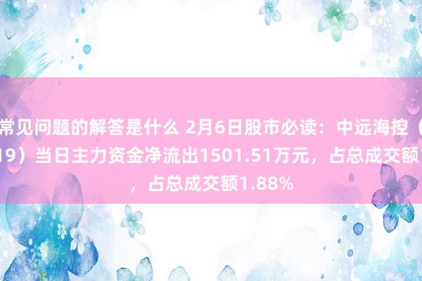 常见问题的解答是什么 2月6日股市必读：中远海控（601919）当日主力资金净流出1501.51万元，占总成交额1.88%