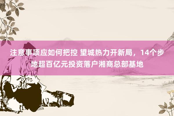 注意事项应如何把控 望城热力开新局，14个步地超百亿元投资落户湘商总部基地