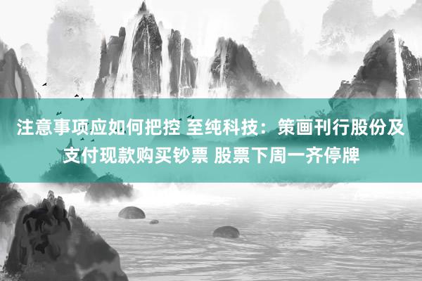 注意事项应如何把控 至纯科技：策画刊行股份及支付现款购买钞票 股票下周一齐停牌