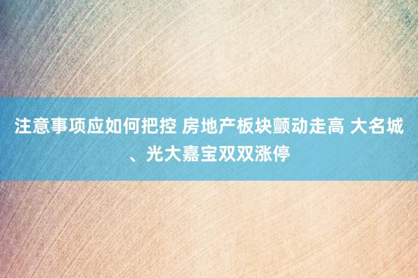 注意事项应如何把控 房地产板块颤动走高 大名城、光大嘉宝双双涨停