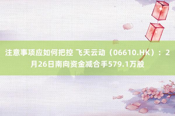 注意事项应如何把控 飞天云动（06610.HK）：2月26日南向资金减合手579.1万股