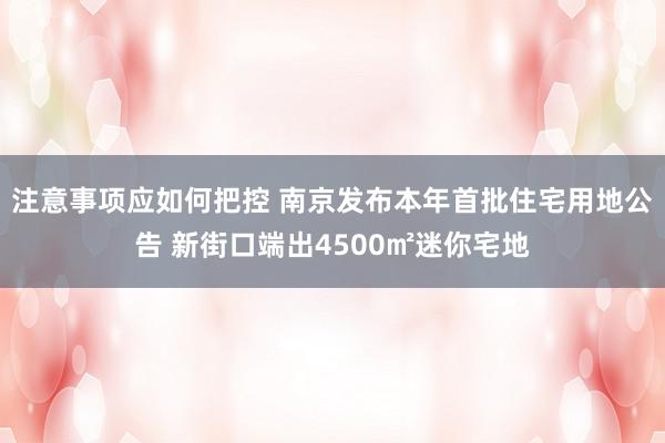 注意事项应如何把控 南京发布本年首批住宅用地公告 新街口端出4500㎡迷你宅地